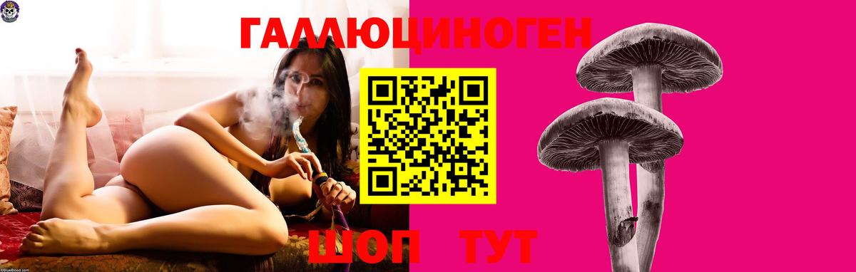 Омск  где можно купить наркотик  Галлюциногенные грибы мухоморы  Вход с VPN  Псилоцибиновые грибы мухоморы 